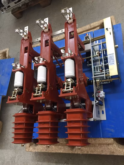 Indoor 11kv LXFZN25-12D/T630-20 Load Breaker Switch (with fuse combination) with Type Test Report