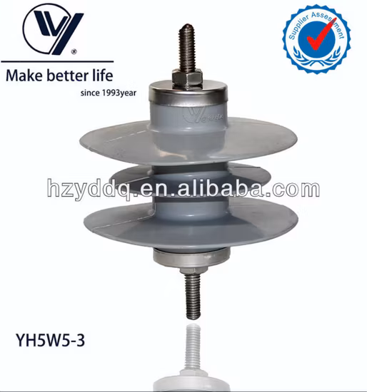 Exported Type High Quality Polymeric Gapless Surge Lightning Arrester